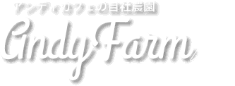 AndyFarm　アンディファーム